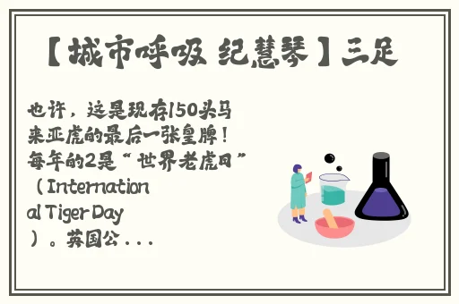 91一区二区国产好的精华液