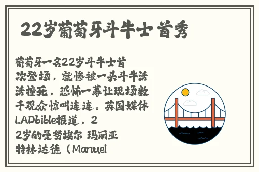 星空果冻传煤